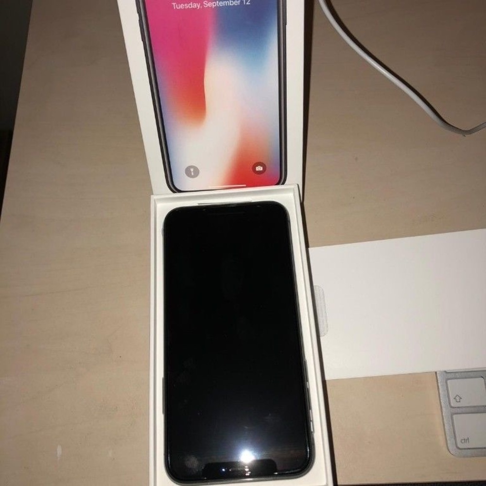 iPhone X (Perfect Condition)